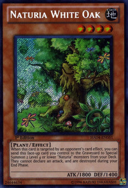Naturia-Weißeiche HA04-DE051 Secret Rare Light Played Deutsch