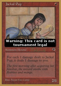 Jackal Pup WCD19- Special Good Englisch