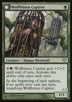 Wolfsgebissener Gefangener / Krallenhorde-Reißer DKA- Rare Excellent Englisch