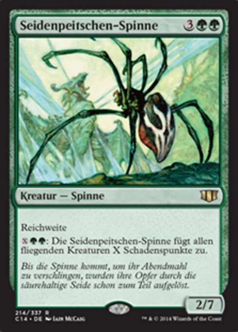 Seidenpeitschen-Spinne C14-214 Rare Excellent Deutsch