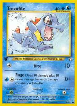 Totodile NG-80 Common Excellent Englisch