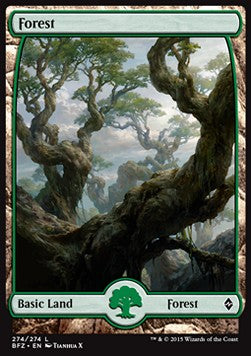 Forest BFZ-274 Land Excellent Englisch