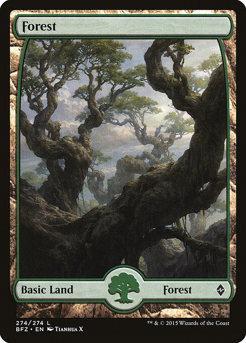 Forest BFZ-274 Land Excellent Englisch