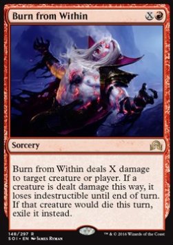 Burn from Within SOI-148 Rare Excellent Englisch