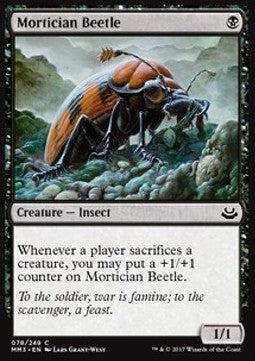 Mortician Beetle MM3-78 Common Excellent Englisch