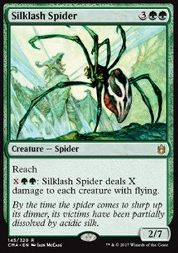 Seidenpeitschen-Spinne CMA-145 Rare Excellent Englisch