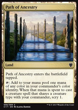 Path of Ancestry C17-56 Common Excellent Englisch