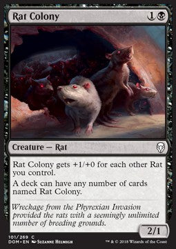 Rat Colony DOM-101 Common Excellent Englisch