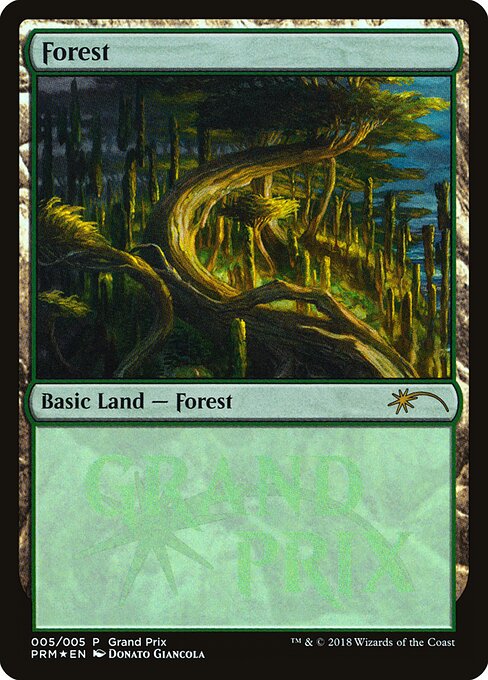 Forest GPPR- Land Excellent Englisch Foil