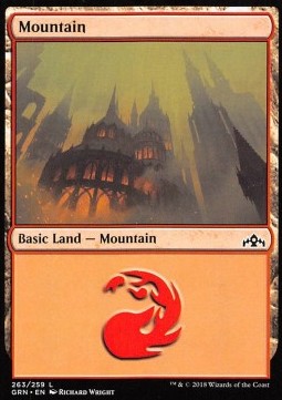 Gebirge XGRN-263 Land Excellent Englisch Foil