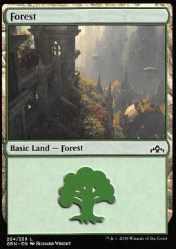 Wald XGRN-264 Land Excellent Englisch Foil
