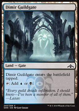 Dimir-Gildeneingang (V.1) GRN-245 Common Excellent Russisch Foil