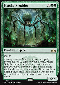 Bruthöhlenspinne GRN-132 Rare Excellent Deutsch