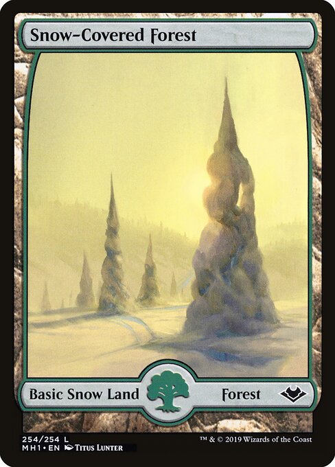 Verschneiter Wald MH1-254 Land Excellent Englisch Foil