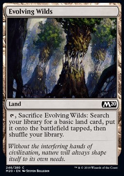 Evolving Wilds M20-246 Common Near Mint Englisch