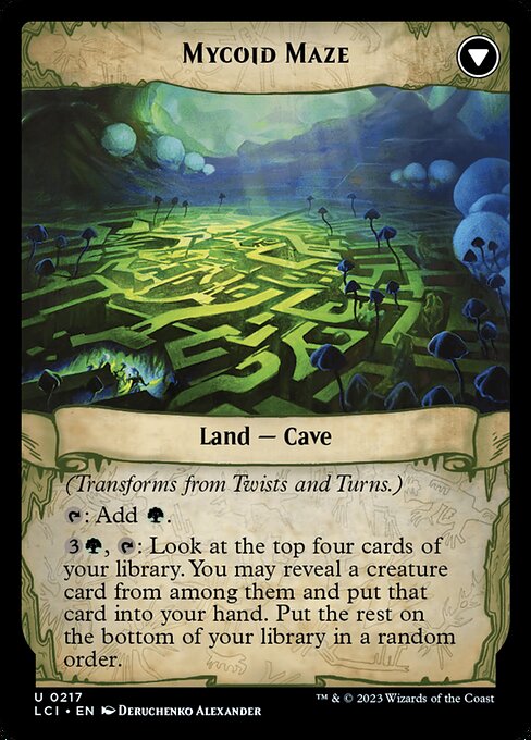 Twists and Turns // Mycoid Maze - Back Face
