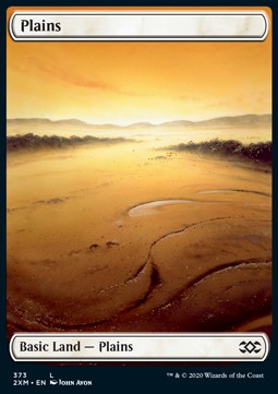 Plains X2XM-373 Land Near Mint Englisch Foil