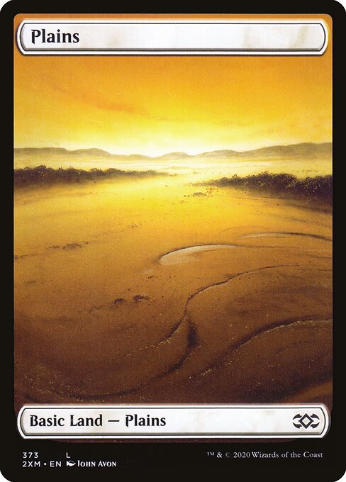 Plains X2XM-373 Land Near Mint Englisch Foil
