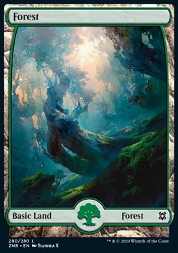 Wald (V.3) ZNR-280 Land Excellent Englisch Foil