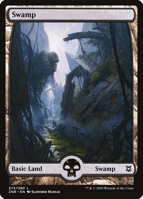 Swamp ZNR-273 Land Excellent Englisch