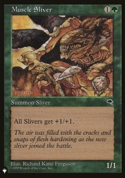 Muscle Sliver ZNL- Common Excellent Englisch