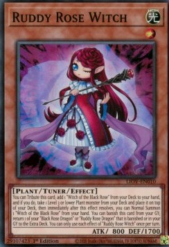 Rötliche Rosenhexe LIOV-010 Super Rare Near Mint Deutsch 1. Auflage