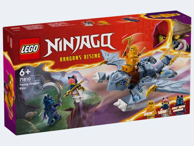 LEGO Ninjago Riyu der Babydrache