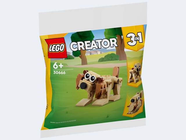LEGO Polybag Creator Geschenkset mit Tieren