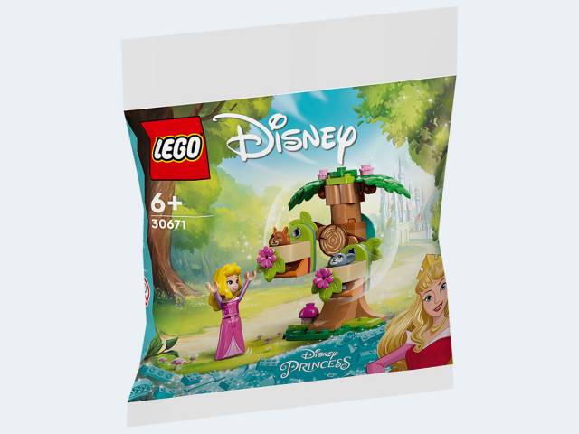 LEGO Polybag Princess Auroras Waldspielplatz
