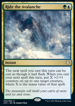 Lawinenritt AFC-54 Rare Excellent Deutsch