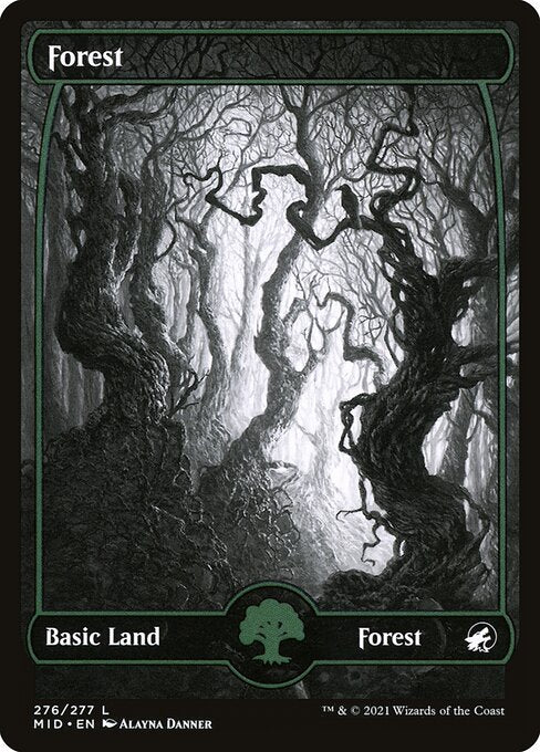 Forest MID-276 Land Near Mint Englisch