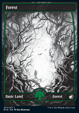 Wald (V.2) MID-277 Land Good Englisch Foil
