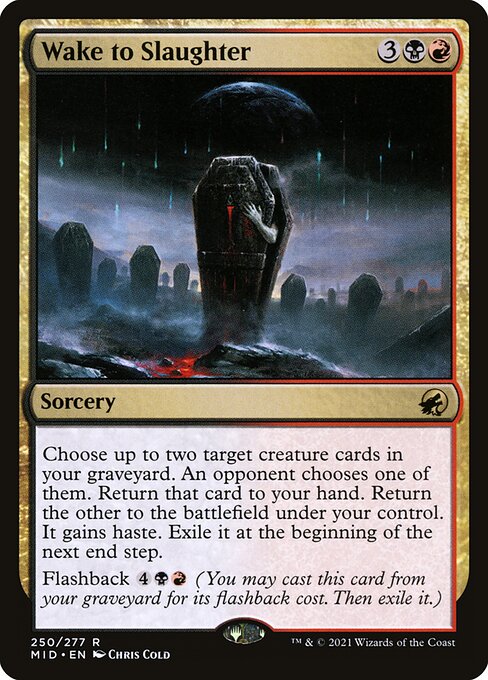 Wake to Slaughter MID-250 Rare Good Englisch