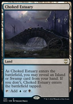 Choked Estuary NCC-393 Rare Near Mint Englisch