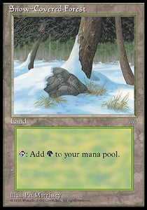Verschneiter Wald ICE- Land Poor Englisch