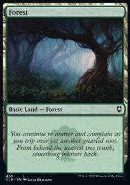 Wald (V.3) XCLB-469 Land Excellent Englisch Foil