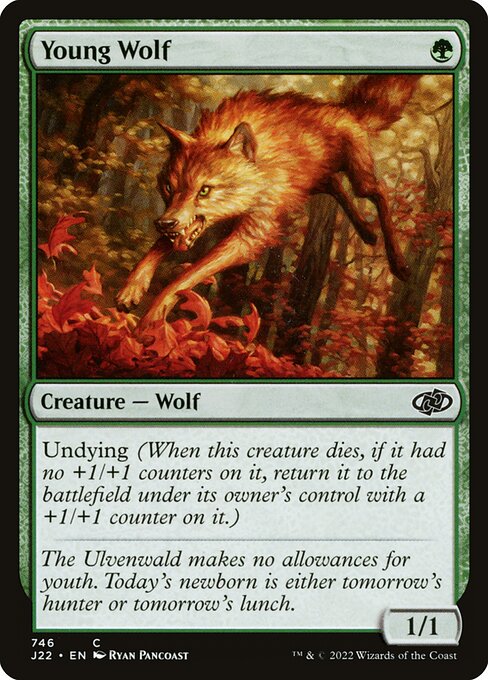 Jungwolf J22-746 Common Near Mint Englisch