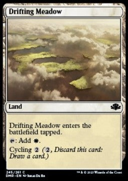 Drifting Meadow DMR-245 Common Near Mint Englisch Foil