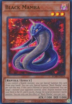 Schwarze Mamba BLMR-019 Ultra Rare Excellent Deutsch 1. Auflage