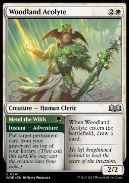 Woodland Acolyte // Mend the Wilds WOE-241 Uncommon Near Mint Englisch Foil