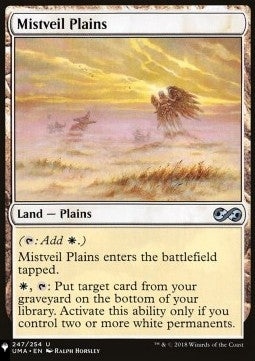 Mistveil Plains ZNL-247 Uncommon Excellent Englisch