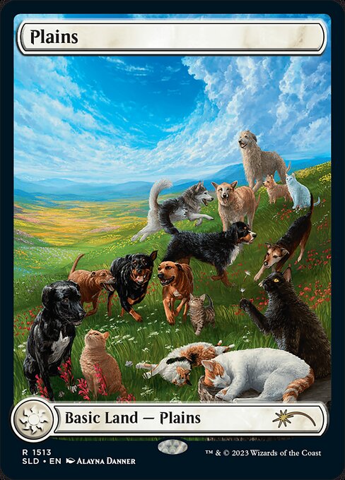 Plains SLDRCD-1513 Land Near Mint Englisch Foil