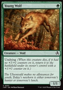 Young Wolf INR-227 Common Near Mint Englisch