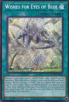 Wunsch nach blauen Augen (V.2) SDWD-042 Secret Rare Near Mint Deutsch