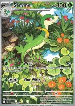 Servine BLK-088 Illustration Rare Excellent Englisch