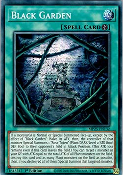 Schwarzer Garten MP25-132 Secret Rare Excellent Deutsch 1. Auflage